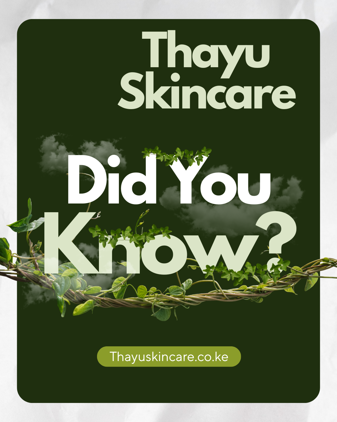 The Thayu Cycle: More Than Skincare, It’s a Promise to you and the Earth